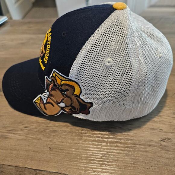 Vintage PFW Mighty Masterdons Musclehead Fitted Hat Cap Black Purdue University - Picture 4 of 11